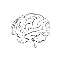 simple brain vector black and white