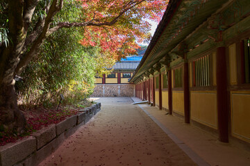 Autumn landscape with traditional roof of Bulguksa Temple in Gyeongju, Korea