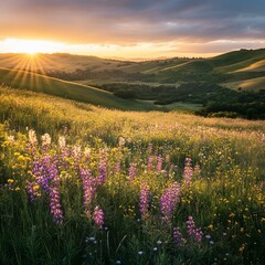 Obraz premium A vibrant meadow with purple wildflowers in bloom basks in the warm glow of a setting sun, casting long shadows over the rolling hills.