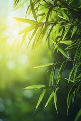 A close-up of bamboo leaves and stalks, with sunlight filtering through the greenery, creating an atmosphere of tranquility and nature's beauty. 