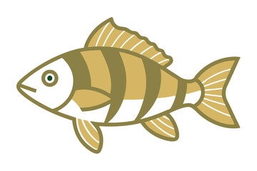 Color Line Art Perch Fish Design.