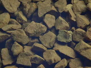 Natural instant freeze-dried coffee. Macro.