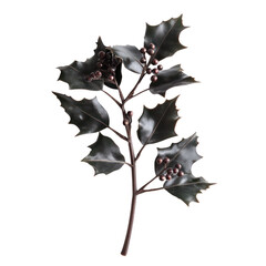 Naklejka premium Transparent Christmas Decorative Leaves Clipart