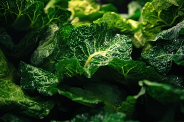 Dolsan gat kimchi Korean leaf mustard pickles