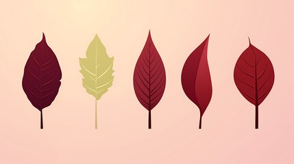 Five Paper Cutout Leaves in Different Stages of Fall