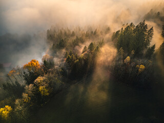 Fototapeta premium Mystical autumn mood in Bavarian Forest with sunset, mountains a