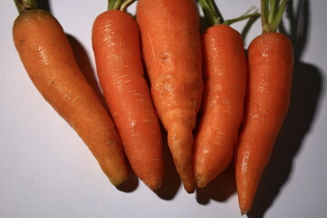carrots on a table
