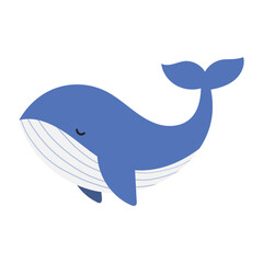 Cute Blue Whale Illustration