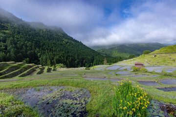 丸山千枚田