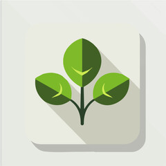 Simple flat 2D icon baby spinach isolated on transparent background, vector, flat design, animation design, vector, flat design, animation design, simple flat 2D icon, clipart