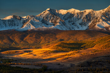 Majestic Altai mountains with snow-capped peaks and vibrant autumn foliage glowing in golden light, showcasing stunning natural beauty and tranquility.