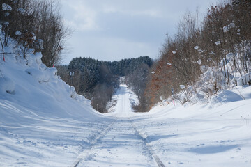 林の間を通る雪に覆われた線路