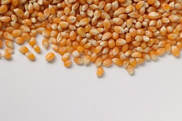 Corn on white background 