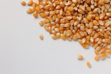 Corn seeds on white background 