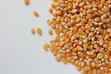 Corn seed 