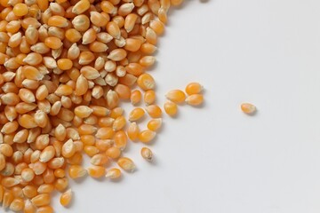 Corn seeds 