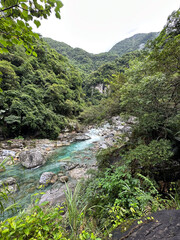 Beautiful Verdant River Flowing Through Lush Green Forest