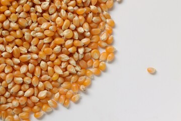 Corn background 