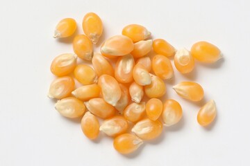 Corn on white background 