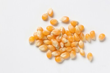 Corn seeds 