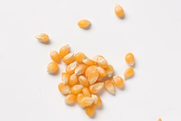 Corn seeds 