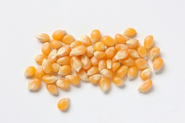 Corn seed 
