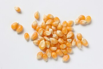 Corn 