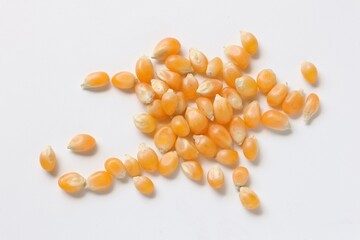 Corn isolated on white