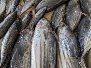 Obraz premium tuna fish sold in the market
