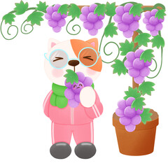 Cat eat grapes 