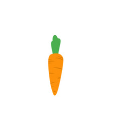 carrot vector 