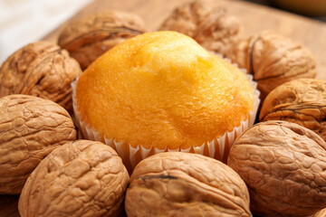 Golden freshly baked muffin surrounded by whole walnuts representing a nutritious calorie-dense snack made with clean organic ingredients. Perfect for healthy wholesome eating