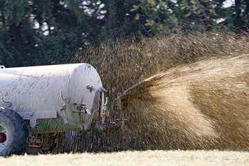 A tractor in an agricultural field spreads manure from a tanker and fertilizes grassy vegetation for cattle feed. Fertilizer and vegetation in agriculture.