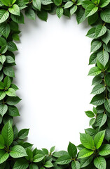 Fototapeta premium Flower and leaf frame decoration. Botanical branch, wreath, garland, border graphic design. Wildflower, herbs and plants isolated.