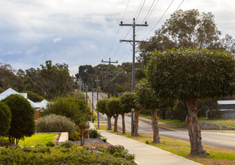 street in wheatbelt town of Darkan with street trees trimmed to fit under power lines