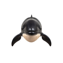 A detailed depiction of an orca, featuring its distinct black body and white belly, highlighting its unique facial structure.