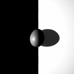 Jajko na czarno-białym tle - kontrast © Emil