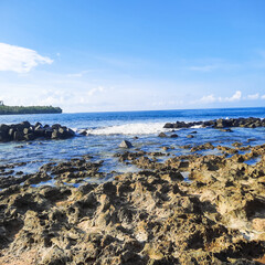 small coral reef on the beach