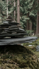 Stacked stones on a mossy surface in a serene forest, showcasing nature's tranquility and balance among trees.