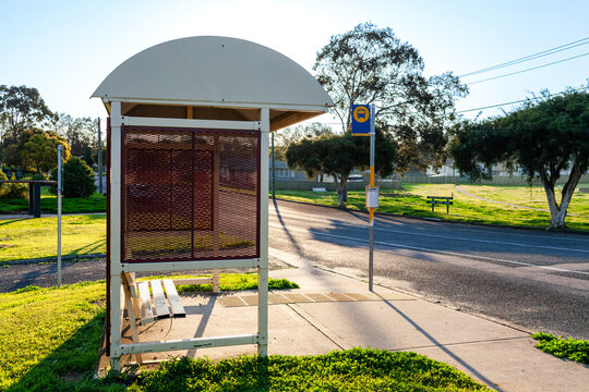 Empty suburban roadside bus stop in golden afternoon light