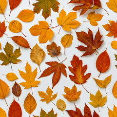 Autumn leaves in bright orange and yellow