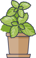 Mint plant in a clay pot symbolizes freshness and natural growth.