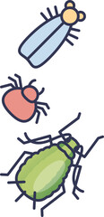 Illustration of common pests: fly, spider, and beetle.