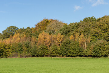 Autumn colours on a sunny day, on the edge of a field