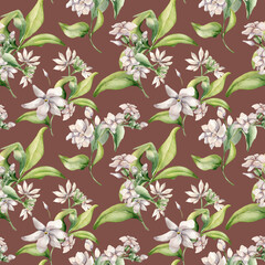 Watercolor seamless pattern of jasmine bunch, buds, leaves isolated. Botanical repeated texture of white flowers hand drawn in soft colors. Floral foliage background for design textile, package, paper