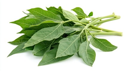 Obraz premium Herbal papaya leaves, fresh green Carica, papaya leaves background wallpaper AI generated image