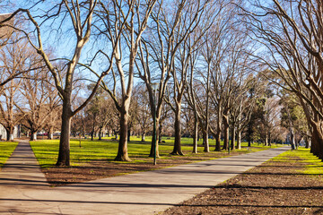 Carlton Gardens in Melbourne Australia