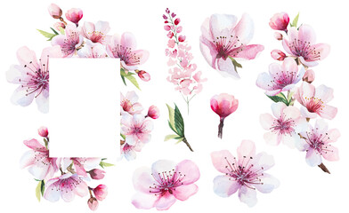 Frame and bouqet with watercolor pink cherry flowers and green leaves, wedding sakura isolated illustration