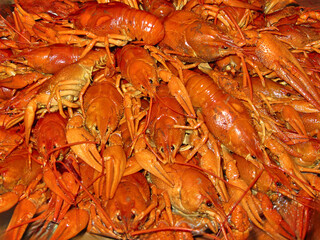 Appetizing boiled red crayfish lie on top of each other