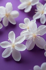 Fototapeta premium White floral arrangement on a vibrant purple background showcasing delicate petals in spring